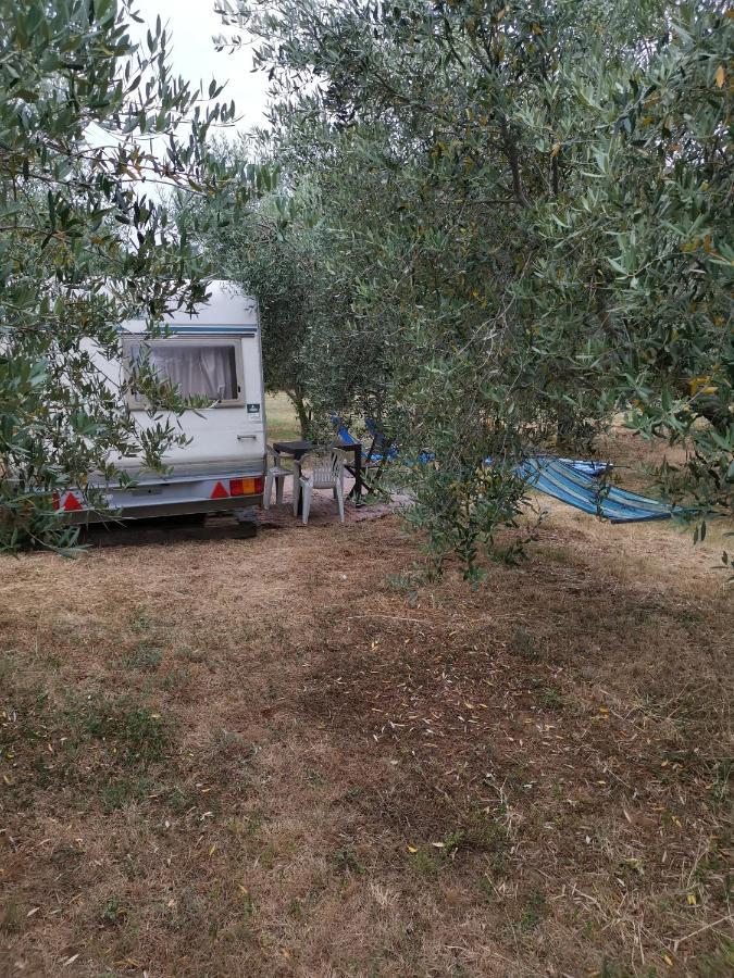 Jacuzi Cottage In The Olive Grove بولا المظهر الخارجي الصورة