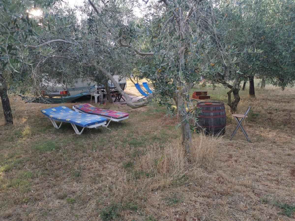 Jacuzi Cottage In The Olive Grove بولا المظهر الخارجي الصورة