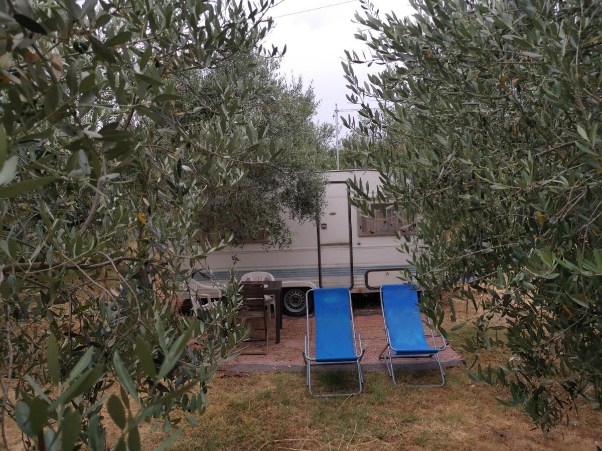 Jacuzi Cottage In The Olive Grove بولا المظهر الخارجي الصورة