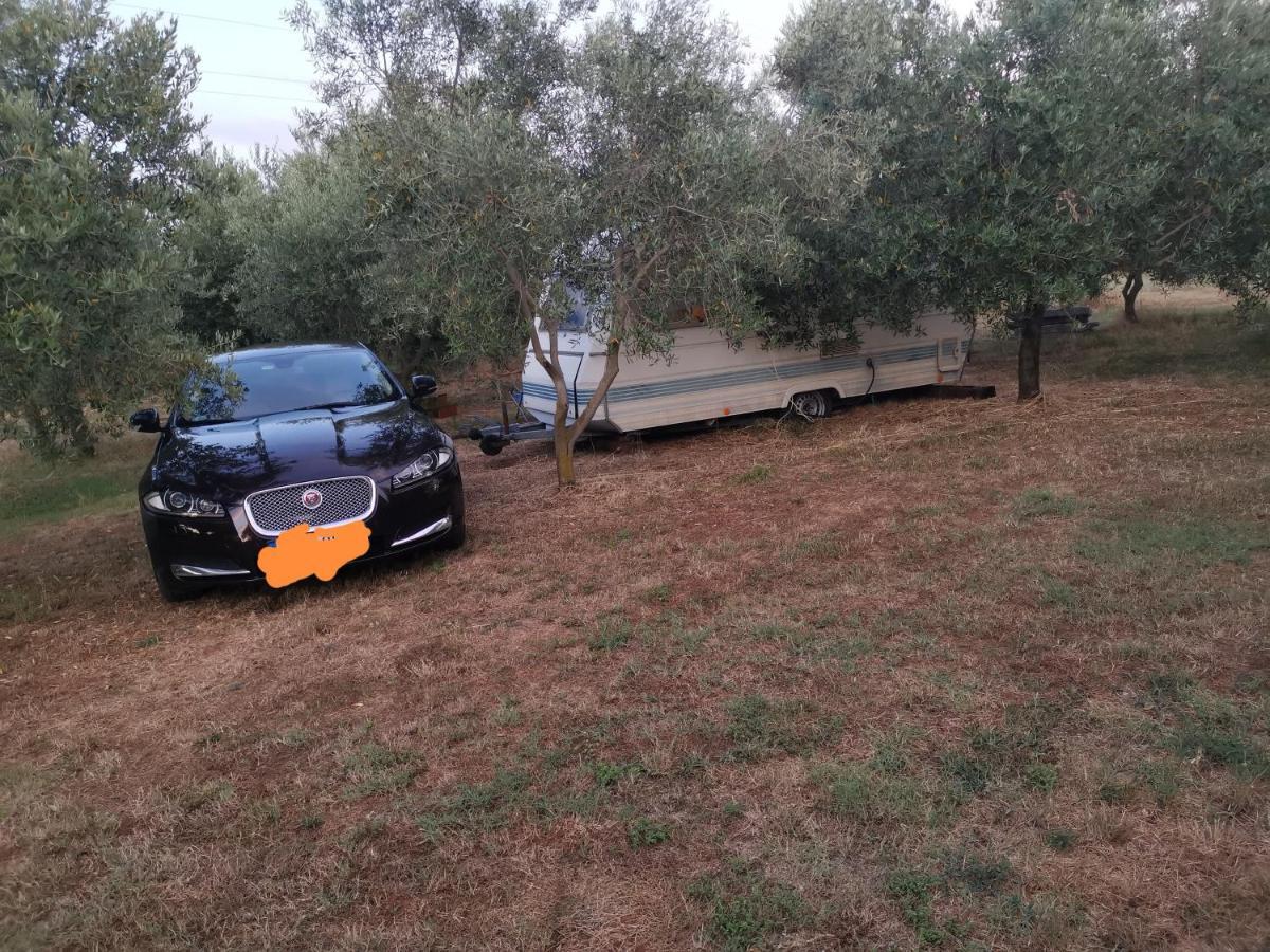 Jacuzi Cottage In The Olive Grove بولا المظهر الخارجي الصورة