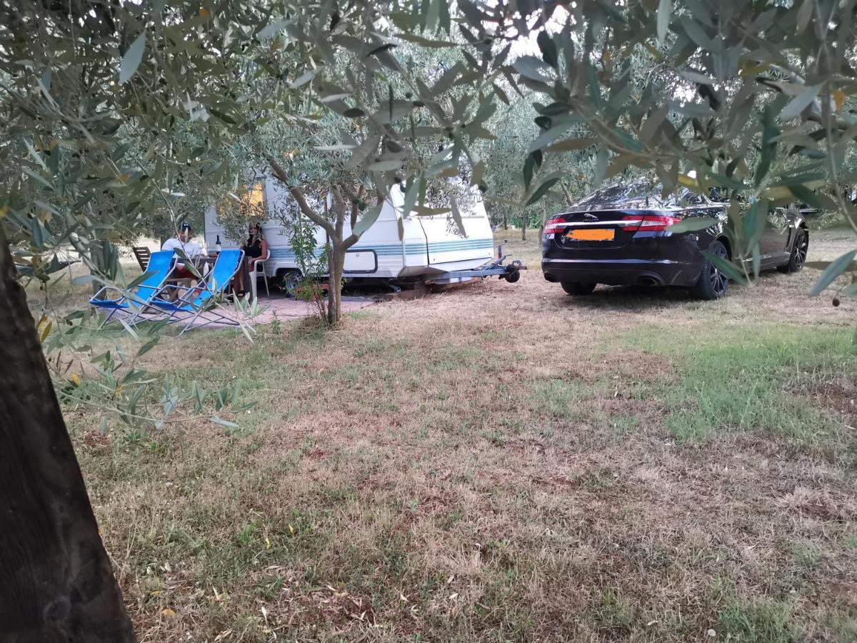 Jacuzi Cottage In The Olive Grove بولا المظهر الخارجي الصورة