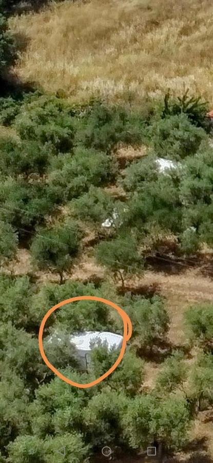 Jacuzi Cottage In The Olive Grove بولا المظهر الخارجي الصورة
