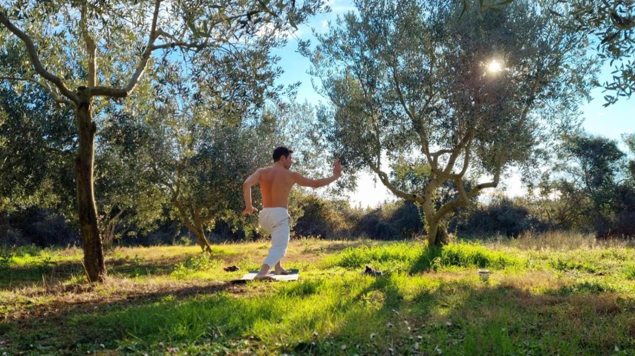 Jacuzi Cottage In The Olive Grove بولا المظهر الخارجي الصورة