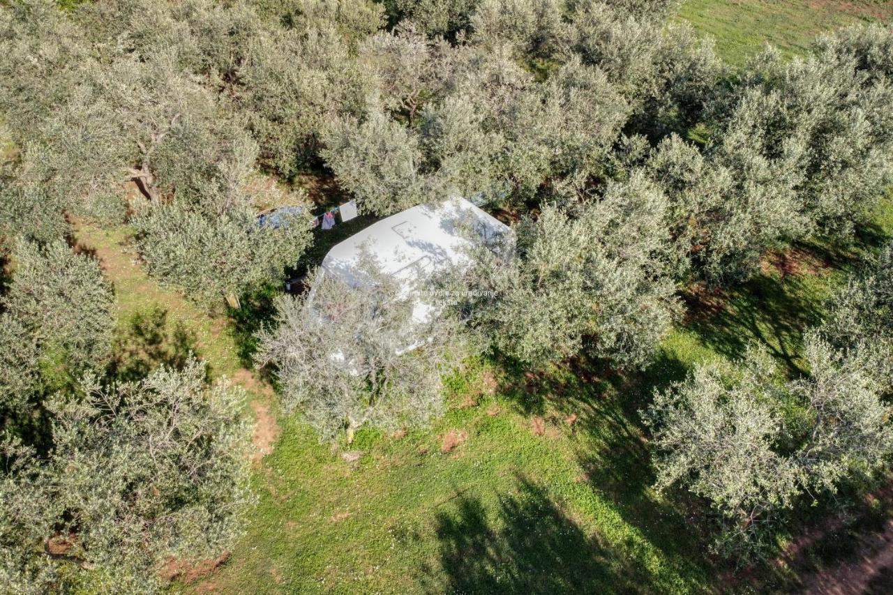 Jacuzi Cottage In The Olive Grove بولا المظهر الخارجي الصورة