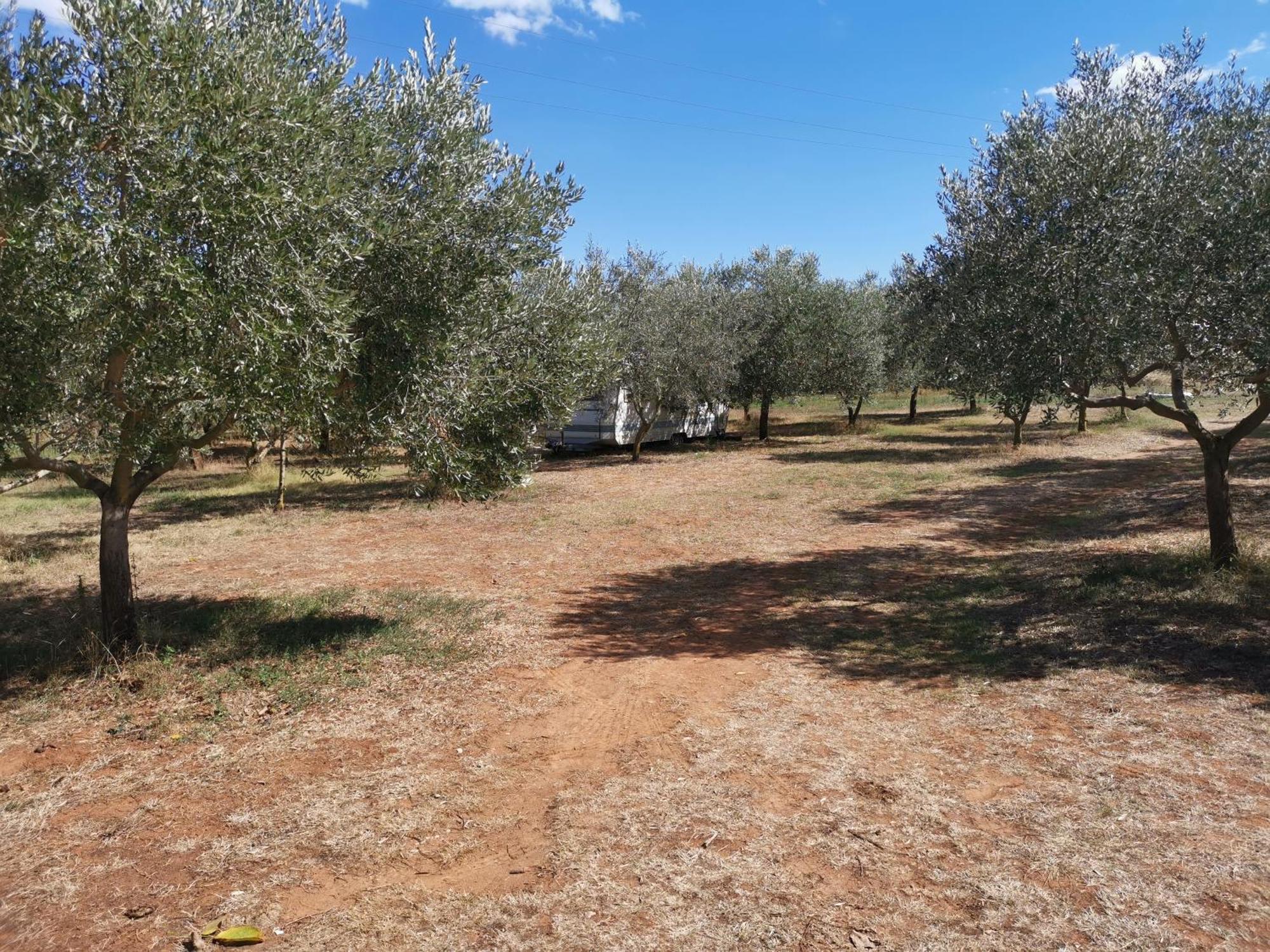 Jacuzi Cottage In The Olive Grove بولا الغرفة الصورة
